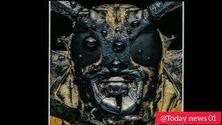 “Through the Lens of Life: Dara Ojo’s Tiny Worlds”