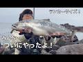 水深2mの浅い磯場に見つけた大物の溜まり場。ついに釣り上げた巨大サクラマス！