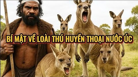 GIẢI MÃ CUỘC SỐNG CỦA KANGAROO – VUA NHẢY VỌT TRÊN SA MẠC NƯỚC ÚC - 360 DISCOVERY- THẾ GIỚI ĐỘNG VẬT