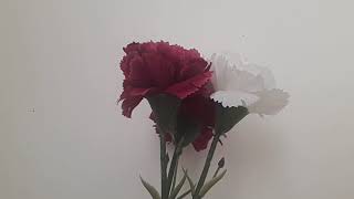 Hey Gidi Karadeniz Amatör Cover