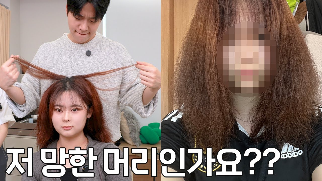 이렇게 뿌리부터 타버리면 솔직히 답이 없습니다 ㅜㅜ