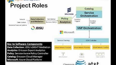 Maximizing Profitability with NFV Orchestration
