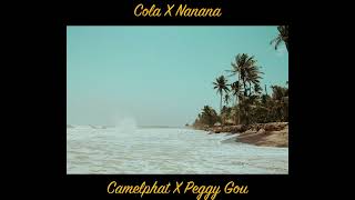 Video thumbnail of "Cola X Nanana - Camelphat, Peggy Gou, TikTok Version (Sped up)"