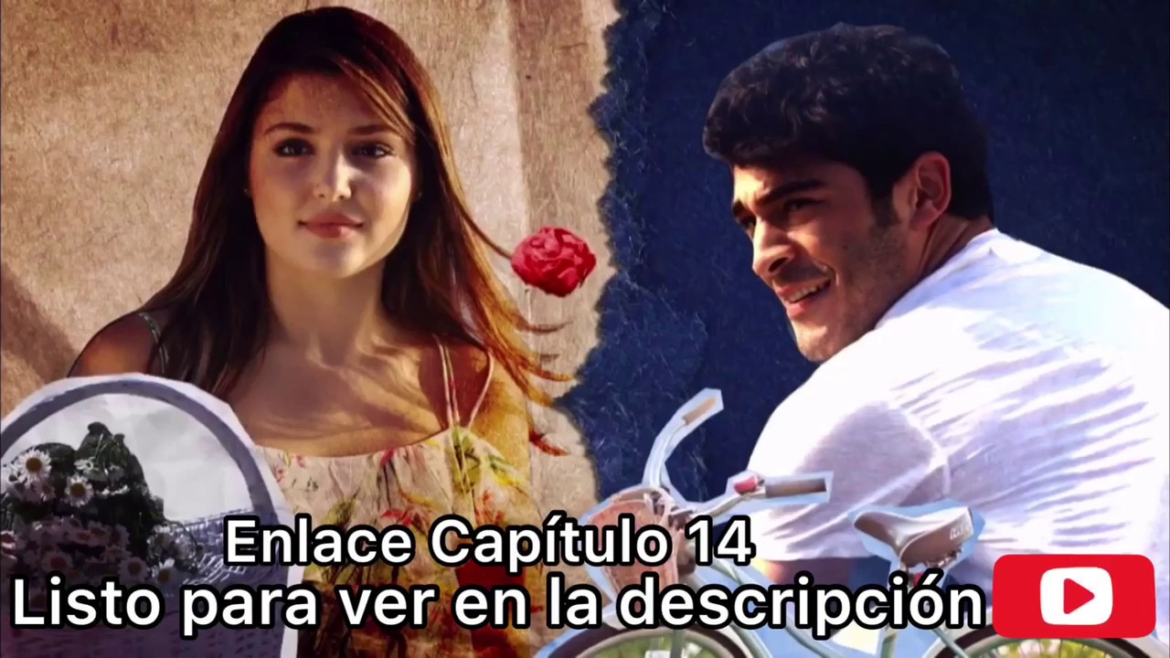 Amor Sin Palabras En Español Capítulos Completos