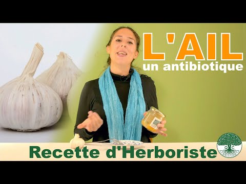 Vidéo: Comment faire des antibiotiques naturels : 6 étapes (avec photos)