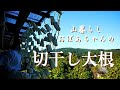 【切干大根】おばあちゃんが秋に作る切干大根は、半生干しでお料理や漬物に使うのがベスト/干した分だけ、大根の甘味が増して驚きのうまさを味わえます(^^)【山暮らし】