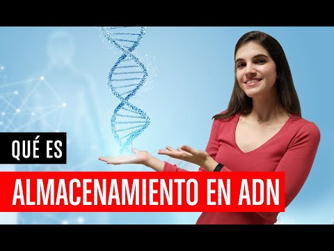 Video: ¿Por qué el ADN almacena información?