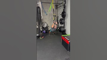 TRX Row to Tricep Extension