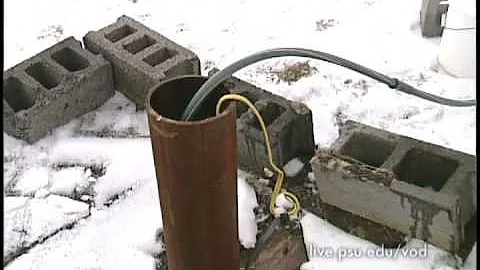 Well Disinfecting - 3 Minute Gardener