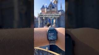 Do calories count at Disneyland? 🤔