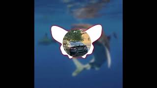 Elissa - Baddy Doub Carrozzeria