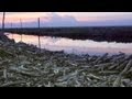 Deforestation And Its Impact On The Environment And Humanity
