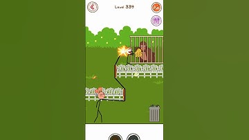 Thief puzzle gam Short Video level 339