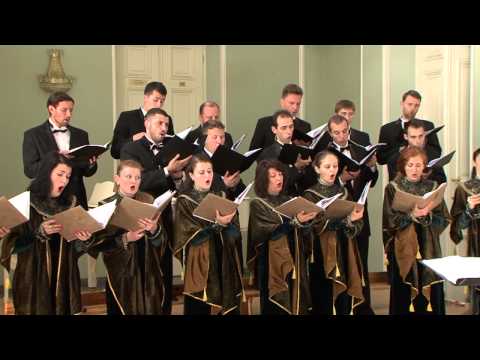 Seksi BBW videolar Rus porno MFM xotini bilan xususiy yuborilgan