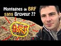 Comment avoir du brf sans broyeur  3 astuces bois ramal fragment