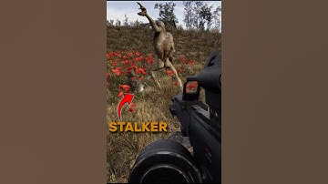 ☢️ STALKER 2 After 500 Hours, I Saw This Animation 😮 #Shorts #Stalker2 #games #stalker