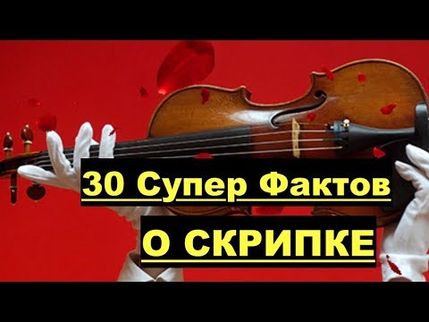30 Интереснейших Фактов о СКРИПКЕ! Никто не знал!!!