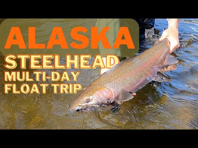 Fly Fishing for Steelhead in Southeast Alaska on a Spring Float
