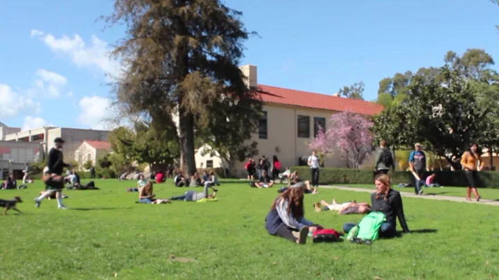 The Transfer Student Experience: From Cuesta to Ca...
