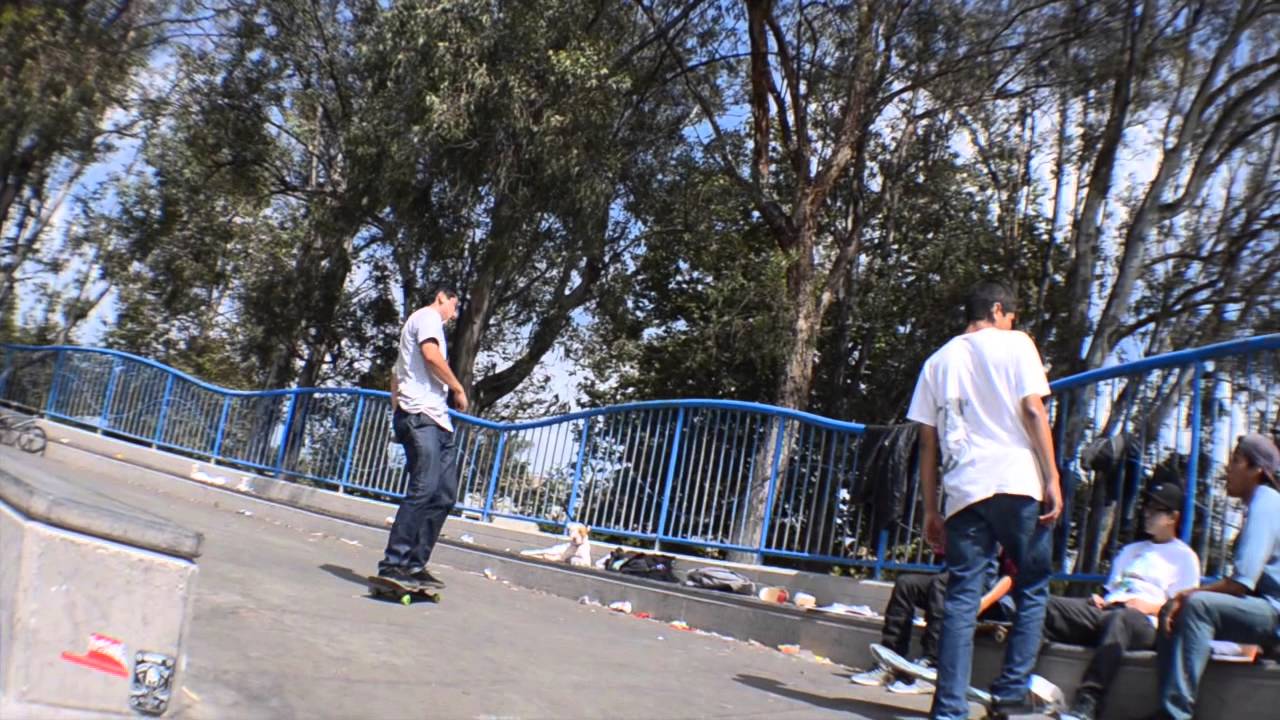 THE SKATEJOCK PROJECT "SAME SHIT DIFFERENT TOILET"