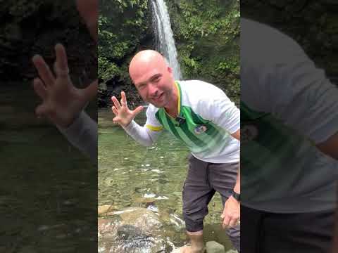 🇩🇲 Beautiful Waterfall in Dominica Jacko Falls #shorts