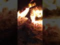 شب زیبا شب زیبا