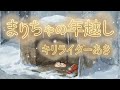 【ゆ虐】まりちゃの年越し