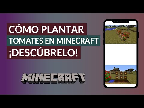 Cómo Plantar Tomates en Minecraft - Rustic mod Crafting