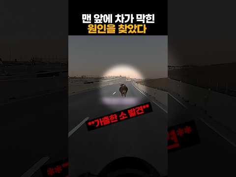 찾았다 교통체증의 원인! thumbnail