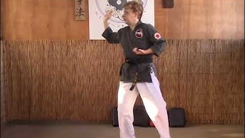 White Tiger Kenpo Yellow Belt Returning Dragon