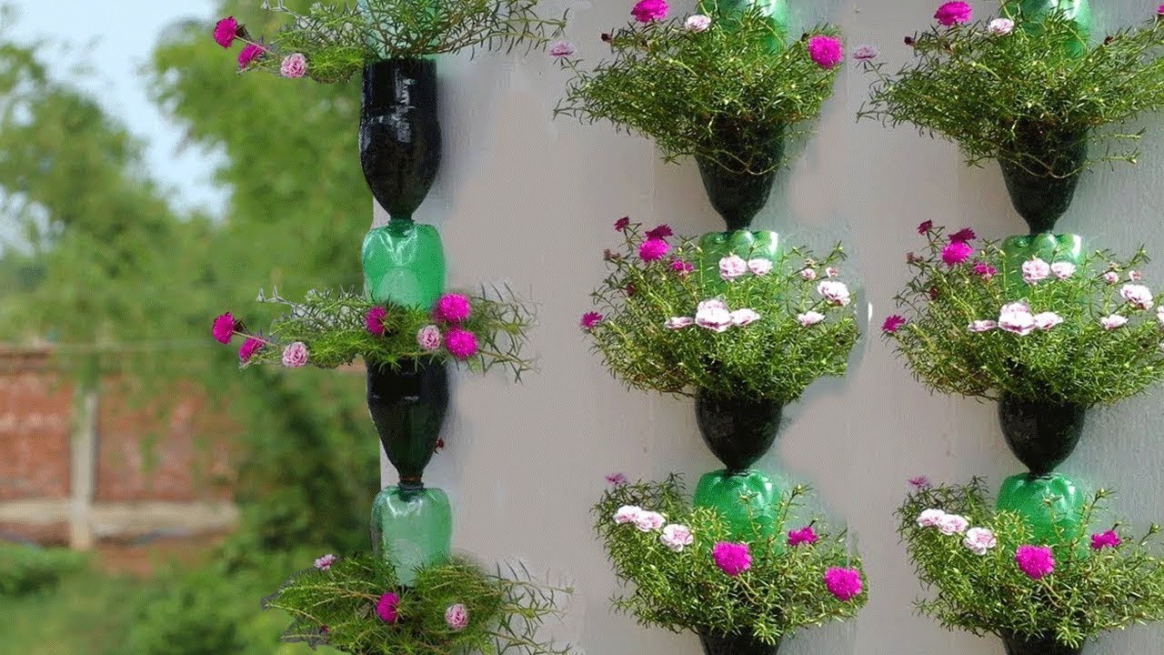 How To Use Plastic Bottles For Gardening 2018 YouTube