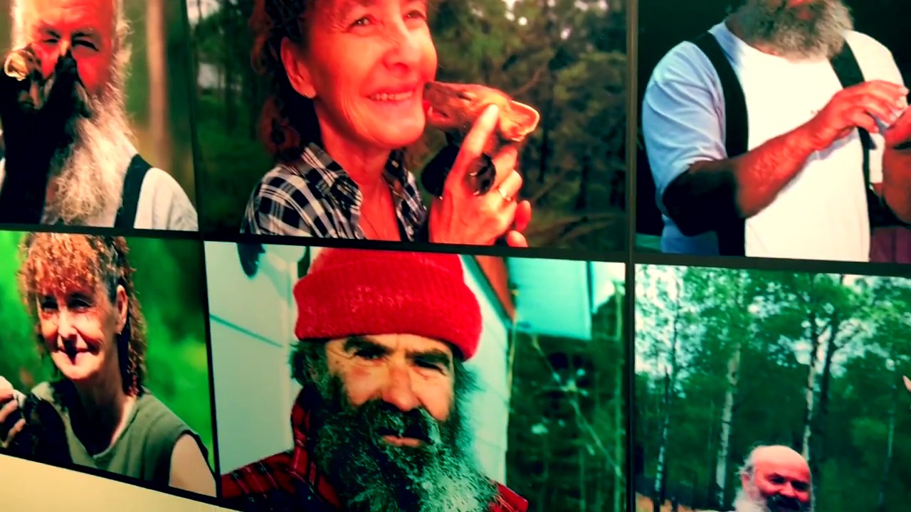 AMOS ABITIBI, CANADA REFUGE PAGEAU YouTube