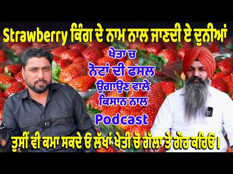Strawberry ਕਿੰਗ ਦੇ ਨਾਮ ਨਾਲ ਜਾਣਦੀ ਏ ਦੁਨੀਆਂ | ਖੇਤਾ ਚ ਨੋਟਾਂ ਦੀ ਫਸਲ ਉਗਾਉਣ ਵਾਲੇ ਕਿਸਾਨ ਨਾਲ Podcast #punjab