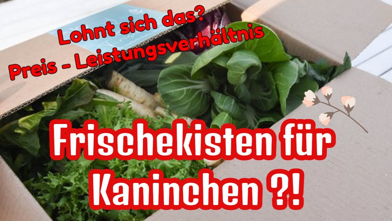 GRÜNHOPPER - Frischekisten & Kräuter für Kaninchen im Test! | Preis-Leistungsverhältnis. | Unboxing