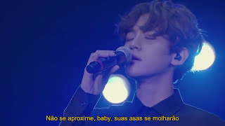 EXO - Moonlight Legendado PT/BR (LIVE)