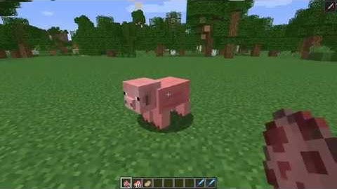 Minecraft 1.13.2 Loot Table Demo - Make Mobs Drop Spawn Eggs