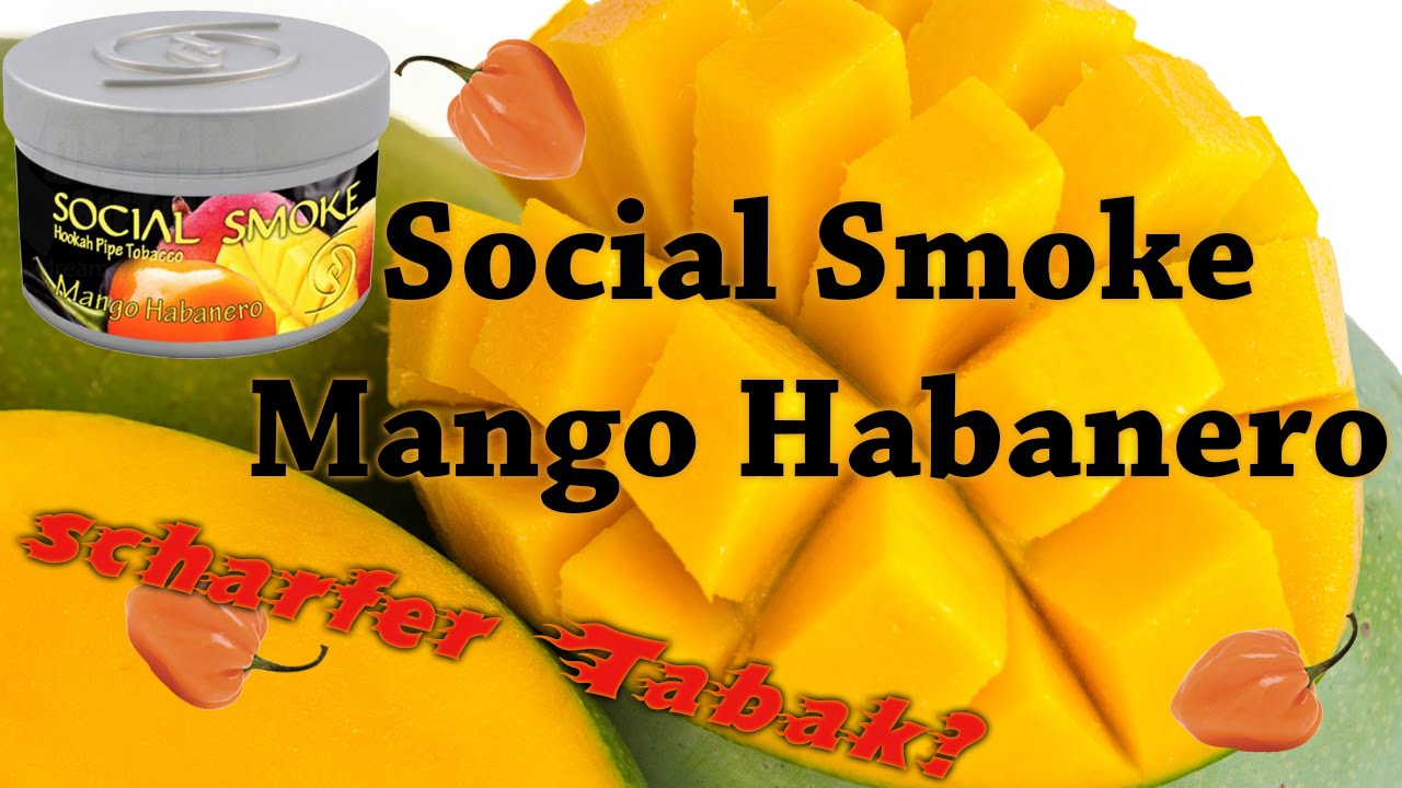 Social Smoke Mango Habanero - Scharfer Tabak?