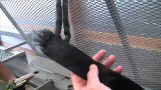 Put to the Test: Vehicle Tie-Down Straps