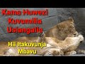 Kisa Hiki Kilimkuta Sungura Anajuta Hadi Simba Alichonfanyia Hadithi Za Kiswahili Simulizi Kisa Hiki Kilimkuta Sungura Anajuta Hadi Simba Alichonfanyia Hadithi Za Kiswahili Simulizi