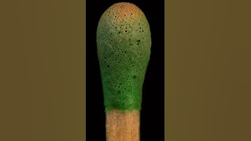 ASMR blower vs matchstick close-up macro #shorts #satisfying #closeup #asmr #macro