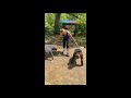 #KidsTriAtHome — Push-up Challenge with Kirsten Sass