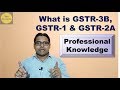 What is GSTR-3B | GSTR1 and GSTR2A | Who will file GSTR3B | GSTR1 | GSTR2A-Hindi Video