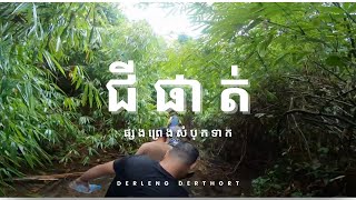 ជីផាត់ តំបន់ធម្មជាតិដែលស្រស់ស្អាតមិនគួររំលង​ 🌱💕