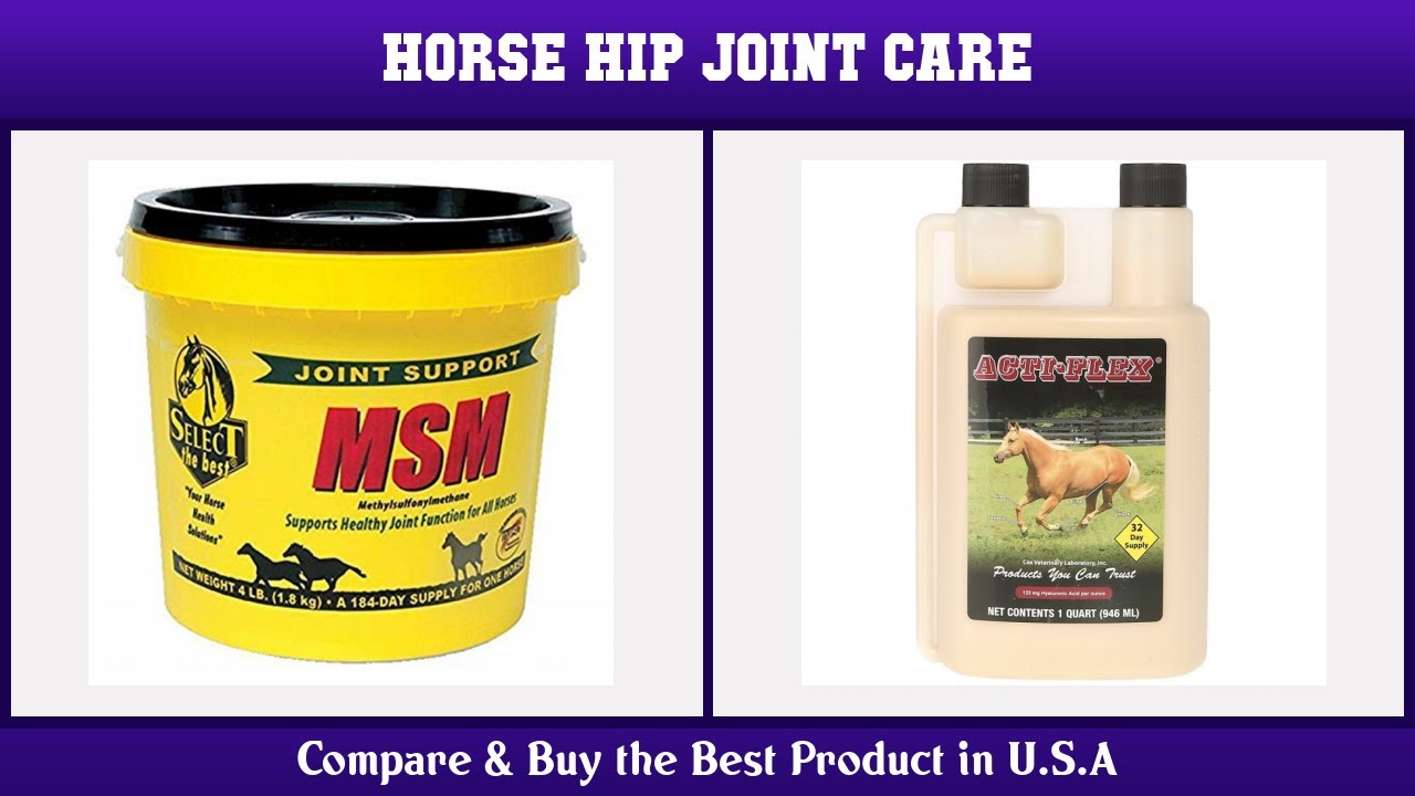 Top 10 Horse Hip & Joint Care to buy in USA 2021 Price & Review YouTube