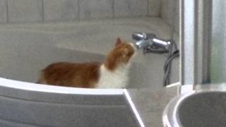 VID 20150729 084359