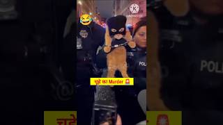 Mera Vakeel 😅 #funny #voiceover 😂 #cat #funnyanimals #ytshorts #reels #shorts