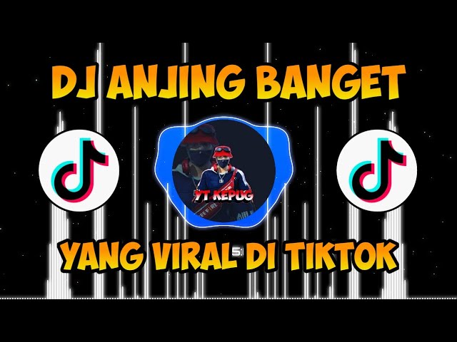 DJ ANJING ANJING BANGET REMIX TIKTOK VIRAL X ODADING RASANYA ANJING BANGET FULL BASS 2020 class=