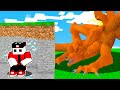 Sopravvivo 24 Ore CONTRO La VOLPE a Nove Code Su Minecraft