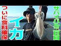 #2 釣った魚しか食べれない離島サバイバル 【KAZUさん・ゆきゆき】