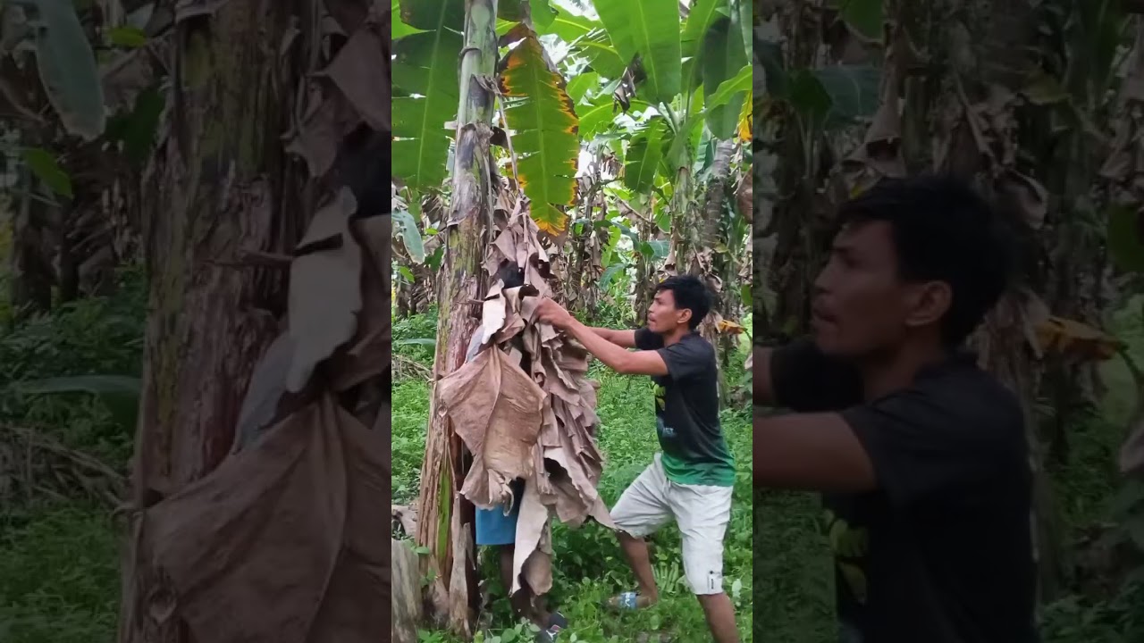 Si kandet Pala Ang salarin 😂 